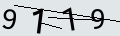 verifycode